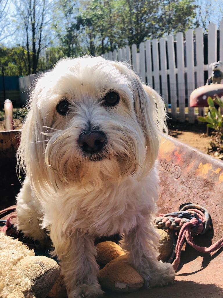 IMG-20230915-WA0071 LUIGI