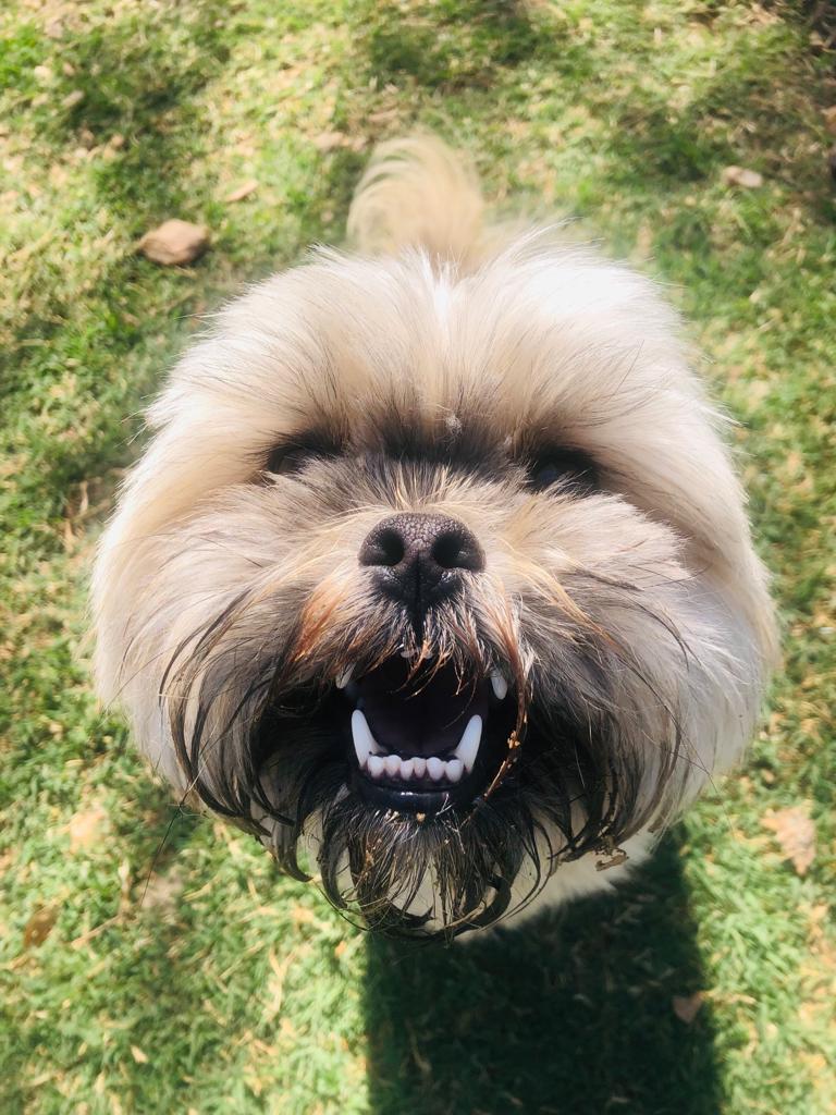 IMG-20230915-WA0083 Chelsea