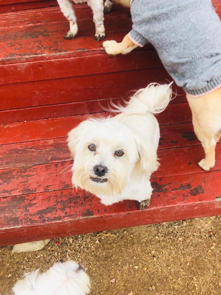 IMG-20231104-WA0076 MARIO