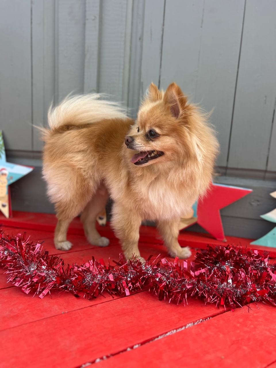 10d97b6e-9427-4904-b877-65f44db2a69b CODY