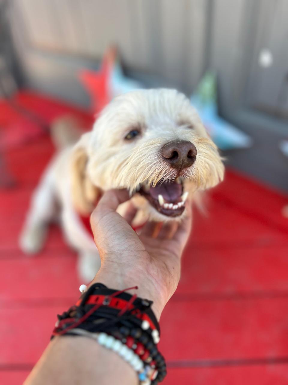 5f73b4b4-ef64-4f0d-935c-fa2ddc7a8fac 5f73b4b4-ef64-4f0d-935c-fa2ddc7a8fac