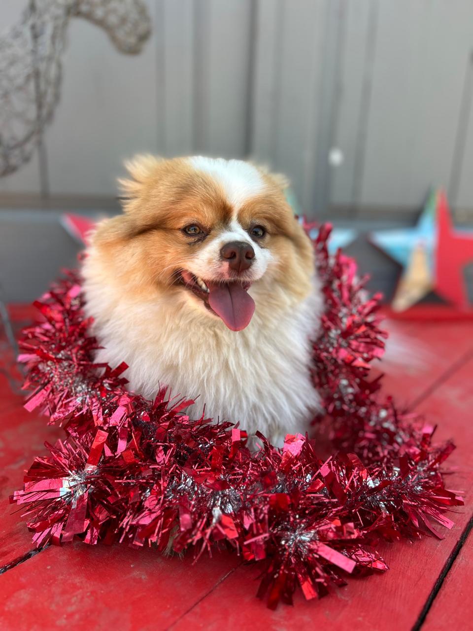 b884ada4-3dff-465f-af81-224e2d94869e DRAKE